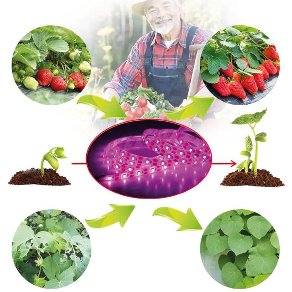 Світлодіодна фітострічка для кімнатних рослин 5м, від USB / Фітострічка для росту саджанців / LED стрічка для розсади 234573613 фото