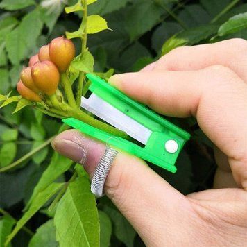 Садовый нож для прищипывания и обрезки, Зеленый / Мини нож на палец / Секатор на палец / Прививочный нож 234586952 фото