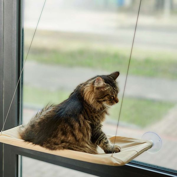 Леженка для кошек на окно (54х32 см), Sunny Window Seat Cat Bed / Спальное место для кошки / Оконный гамак для кота на присосках 234566879 фото