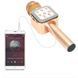 Беспроводной микрофон караоке с Bluetooth и USB, DM Karaoke WS 1818 / Микрофон для караоке 234565794 фото 5