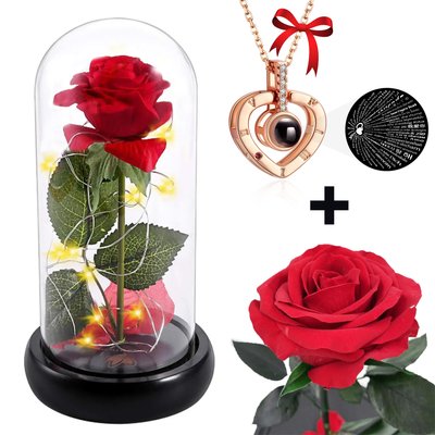 Троянда в колбі з LED підсвічуванням + Подарунок Кулон з проекцією "I love you" / Вічна троянда / Подарункова декоративна троянда-нічник 123458328 (цей артикул вірний) фото