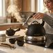 Чайник с гранитным покрытием 3,5 л, HausRoland HR 704-5, Черный / Чайник из нержавейки для плиты / Чайник наплитный со свистком 234597046 фото 6