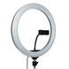 Кільцева лампа 30 см, від USB, MJ 300 Soft Ring Light + Штатив 0,66-2 м + Пульт для селфі / Світлодіодна LED лампа / Кільцева RGB лампа з тримачем для телефону 234561666(цей артикул вірний) фото 3